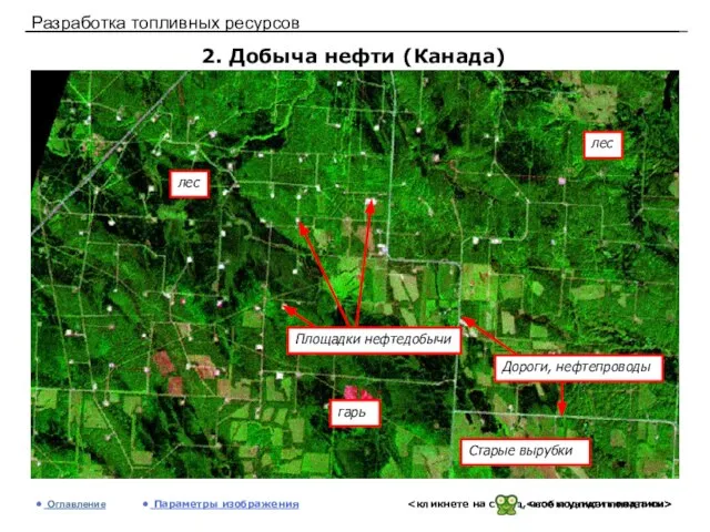 Разработка топливных ресурсов 2. Добыча нефти (Канада) Оглавление Параметры изображения лес лес гарь Старые вырубки