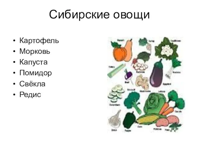 Сибирские овощи Картофель Морковь Капуста Помидор Свёкла Редис