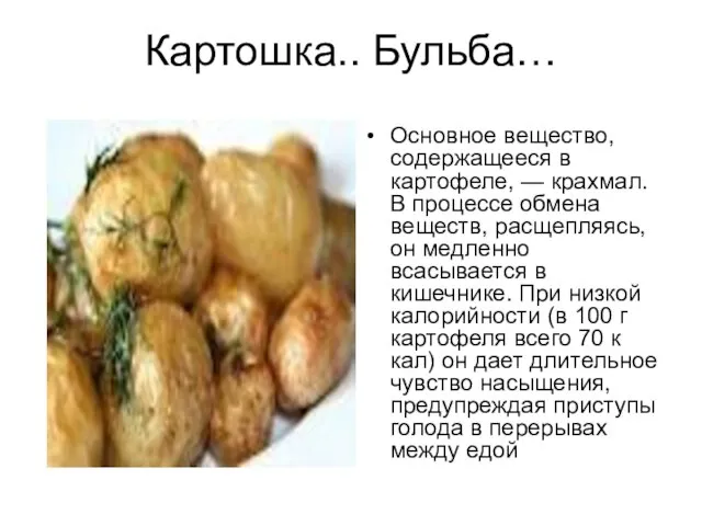 Картошка.. Бульба… Основное вещество, содержащееся в картофеле, — крахмал. В процессе обмена