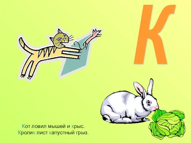 Кот ловил мышей и крыс. Кролик лист капустный грыз. К