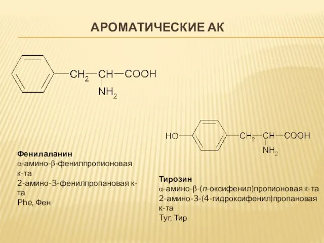 АРОМАТИЧЕСКИЕ АК Фенилаланин α-амино-β-фенилпропионовая к-та 2-амино-3-фенилпропановая к-та Phe, Фен Тирозин α-амино-β-(п-оксифенил)пропионовая к-та 2-амино-3-(4-гидроксифенил)пропановая к-та Tyr, Тир