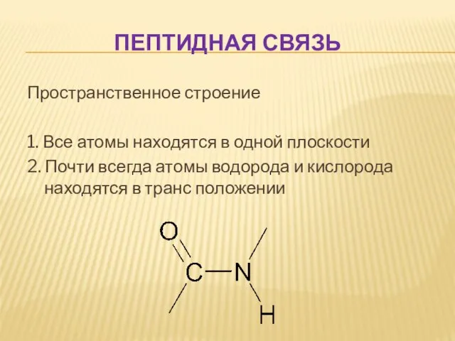 ПЕПТИДНАЯ СВЯЗЬ Пространственное строение 1. Все атомы находятся в одной плоскости 2.