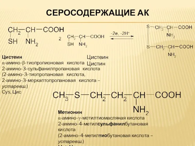 СЕРОСОДЕРЖАЩИЕ АК Цистеин Цистин Мeтионин α-амино-γ-мeтилтиомасляная кислота 2-амино-4-метилсульфанилбутановая кислота (2-амино-4-метилтиобутановая кислота –