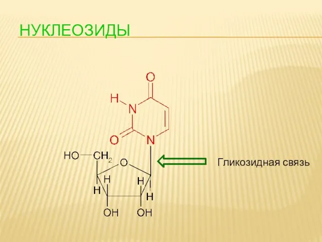 НУКЛЕОЗИДЫ Гликозидная связь