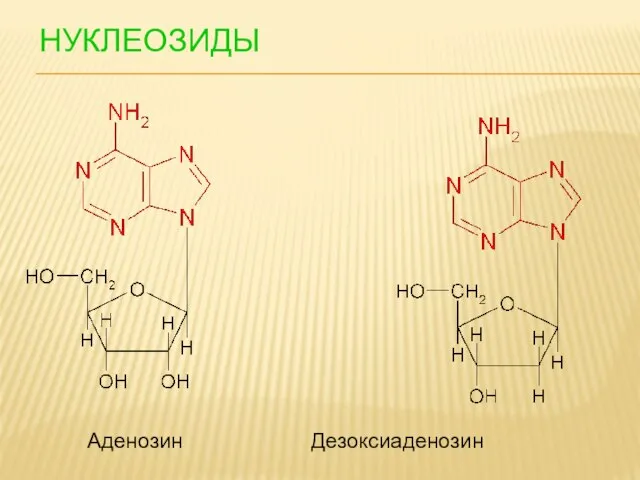 НУКЛЕОЗИДЫ Аденозин Дезоксиаденозин