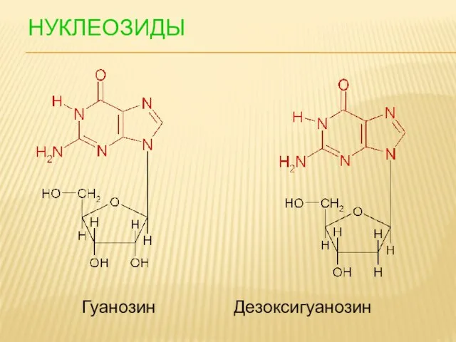 НУКЛЕОЗИДЫ Гуанозин Дезоксигуанозин