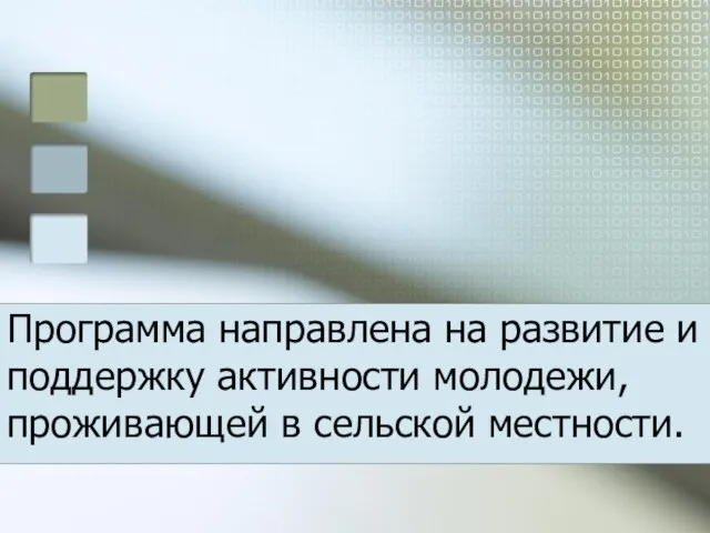 Программа направлена на развитие и поддержку активности молодежи, проживающей в сельской местности.