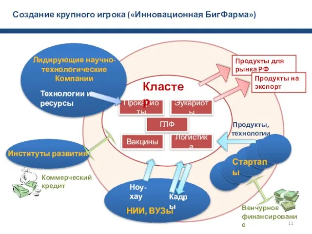 Создание крупного игрока («Инновационная БигФарма») ГЛФ Прокариоты Эукариоты Логистика Вакцины Кластер Технологии