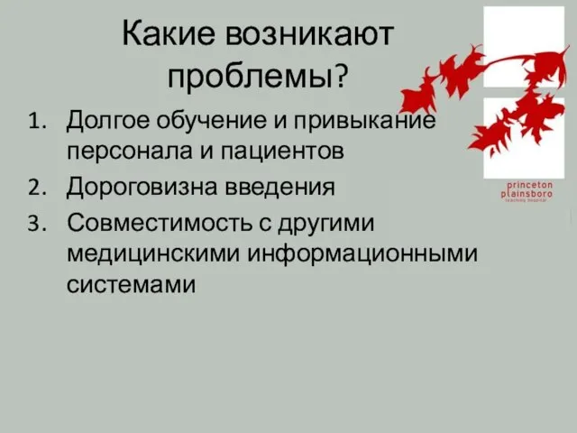 Какие возникают проблемы? Долгое обучение и привыкание персонала и пациентов Дороговизна введения