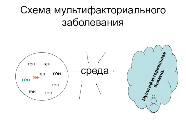 Схема мультифакториального заболевания ген ген ген ген ген ген ген ген ген среда Мультифакториальная болезнь