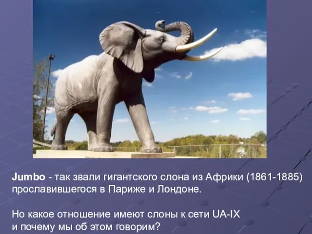 Jumbo - так звали гигантского слона из Африки (1861-1885) прославившегося в Париже