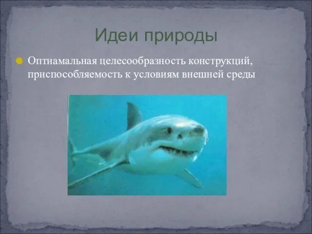 Оптиамальная целесообразность конструкций, приспособляемость к условиям внешней среды Идеи природы