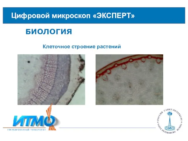 Цифровой микроскоп «ЭКСПЕРТ» БИОЛОГИЯ Клеточное строение растений