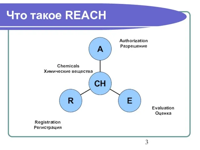 Что такое REACH Authorization Разрешение Registration Регистрация Evaluation Оценка Chemicals Химические вещества