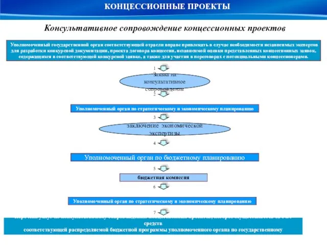 Заявка на консультативное сопровождение Уполномоченный орган по стратегическому и экономическому планированию бюджетная