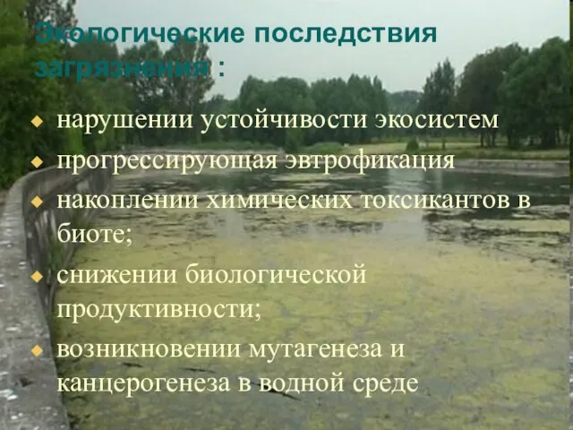 Экологические последствия загрязнения : нарушении устойчивости экосистем прогрессирующая эвтрофикация накоплении химических токсикантов