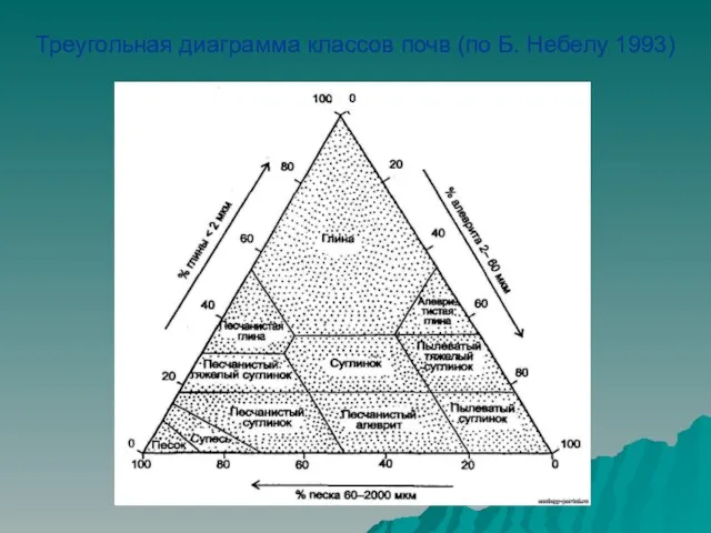 Треугольная диаграмма классов почв (по Б. Небелу 1993)