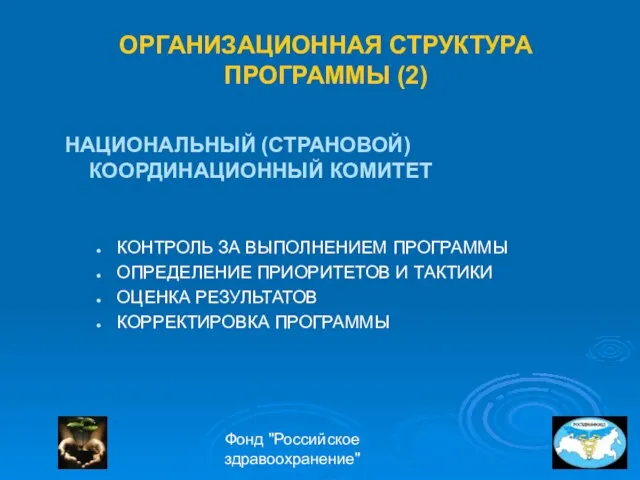 Фонд "Российское здравоохранение" ОРГАНИЗАЦИОННАЯ СТРУКТУРА ПРОГРАММЫ (2) НАЦИОНАЛЬНЫЙ (СТРАНОВОЙ) КООРДИНАЦИОННЫЙ КОМИТЕТ КОНТРОЛЬ