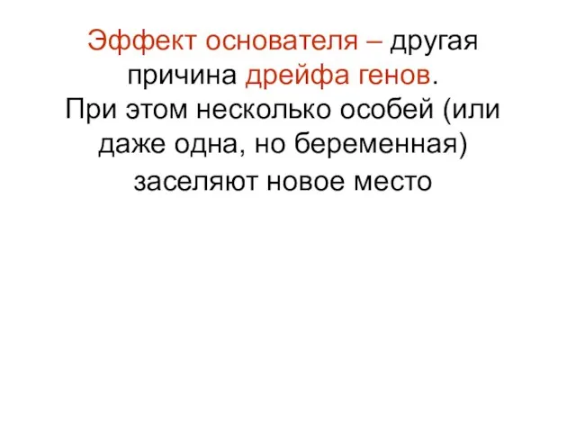 Эффект основателя – другая причина дрейфа генов. При этом несколько особей (или