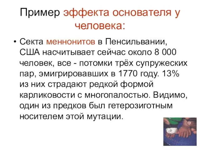 Пример эффекта основателя у человека: Секта меннонитов в Пенсильвании, США насчитывает сейчас