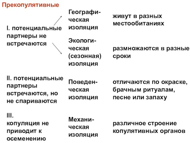 Прекопулятивные