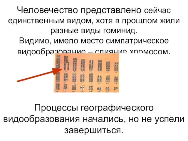 Человечество представлено сейчас единственным видом, хотя в прошлом жили разные виды гоминид.