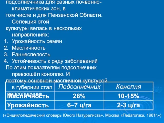 В России подсолнечник приобрёл свою вторую родину, у нас выведено много сортов