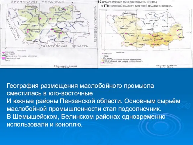 География размещения маслобойного промысла сместилась в юго-восточные И южные районы Пензенской области.