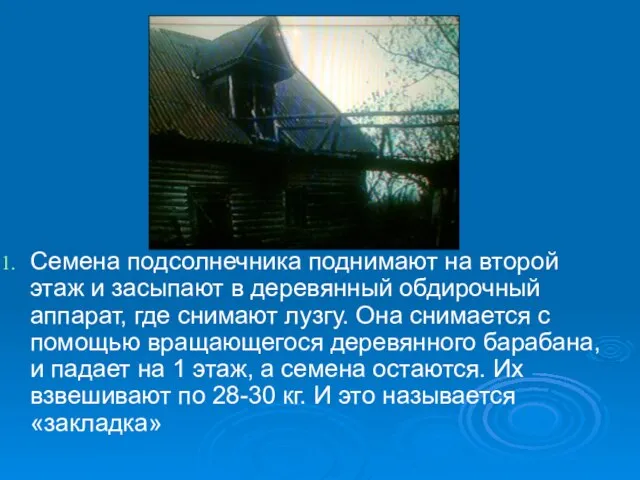 Семена подсолнечника поднимают на второй этаж и засыпают в деревянный обдирочный аппарат,