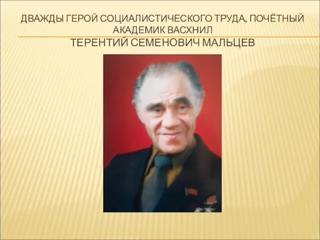 ДВАЖДЫ ГЕРОЙ СОЦИАЛИСТИЧЕСКОГО ТРУДА, ПОЧЁТНЫЙ АКАДЕМИК ВАСХНИЛ ТЕРЕНТИЙ СЕМЕНОВИЧ МАЛЬЦЕВ