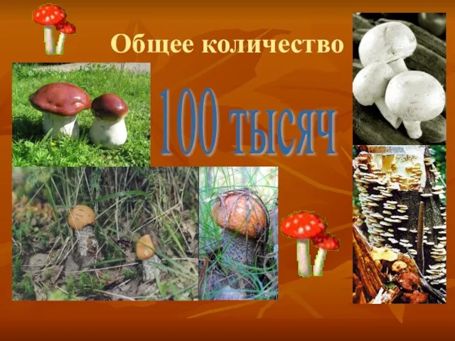 Общее количество 100 тысяч