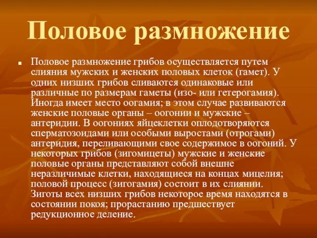 Половое размножение Половое размножение грибов осуществляется путем слияния мужских и женских половых