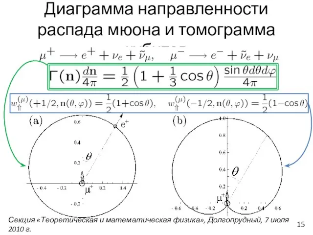 Диаграмма направленности распада мюона и томограмма кубитов Секция «Теоретическая и математическая физика»,