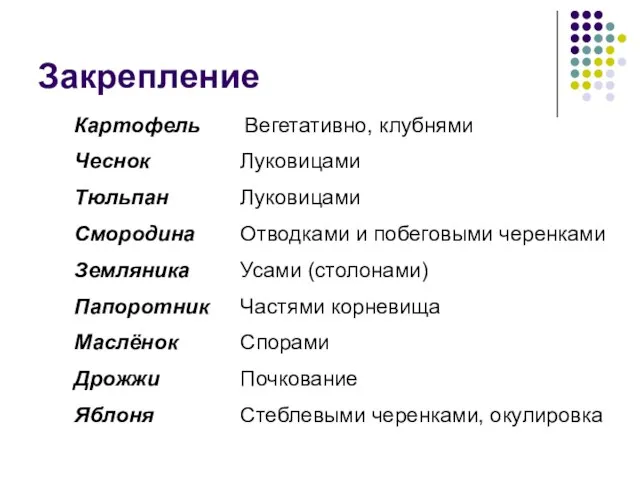 Закрепление Картофель Чеснок Тюльпан Смородина Земляника Папоротник Маслёнок Дрожжи Яблоня Вегетативно, клубнями