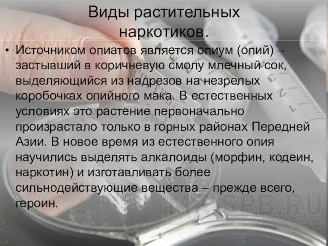 Виды растительных наркотиков. Источником опиатов является опиум (опий) – застывший в коричневую