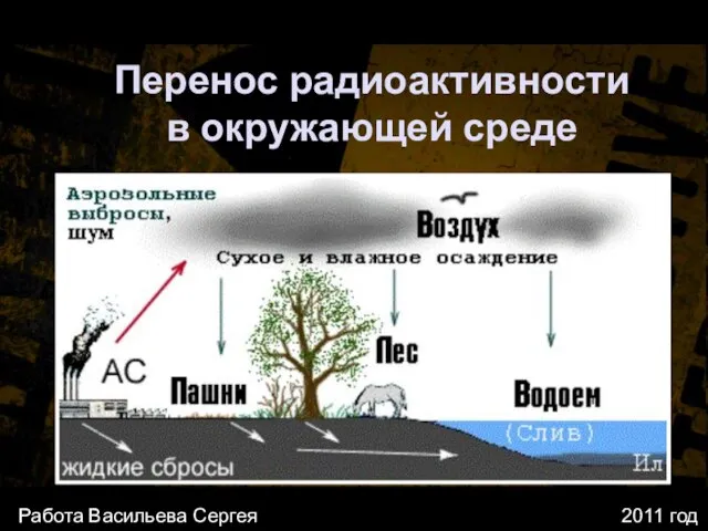 Перенос радиоактивности в окружающей среде Работа Васильева Сергея 2011 год