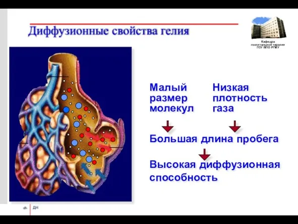 Диффузионные свойства гелия Высокая диффузионная способность Большая длина пробега Низкая плотность газа Малый размер молекул