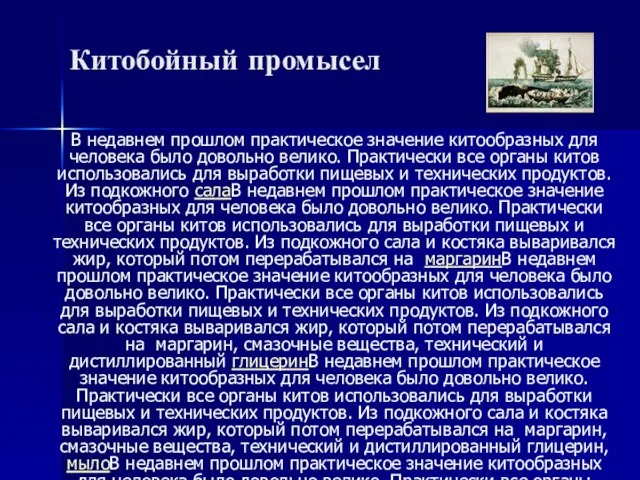 В недавнем прошлом практическое значение китообразных для человека было довольно велико. Практически