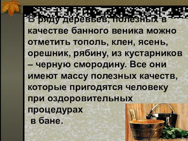 В ряду деревьев, полезных в качестве банного веника можно отметить тополь, клен,