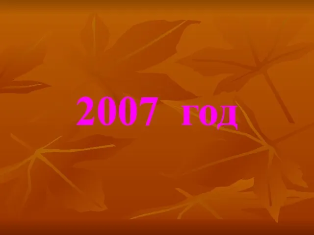 2007 год