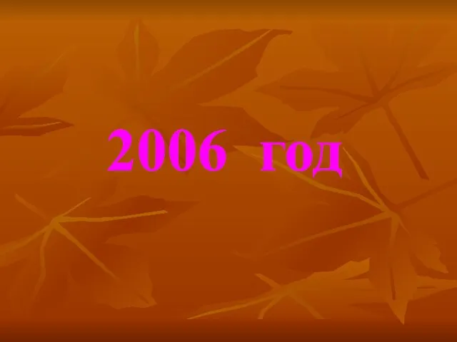 2006 год