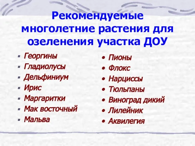 Рекомендуемые многолетние растения для озеленения участка ДОУ Георгины Гладиолусы Дельфиниум Ирис Маргаритки