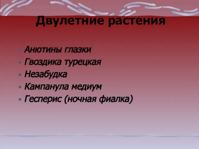 Двулетние растения Анютины глазки Гвоздика турецкая Незабудка Кампанула медиум Гесперис (ночная фиалка)