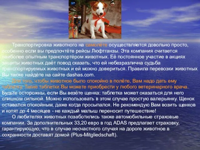 Транспортировка животного на самолёте осуществляется довольно просто, особенно если вы предпочтёте рейсы