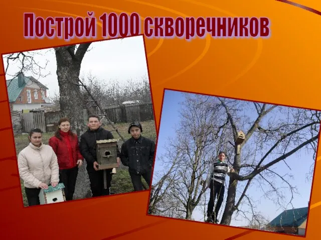 Построй 1000 скворечников