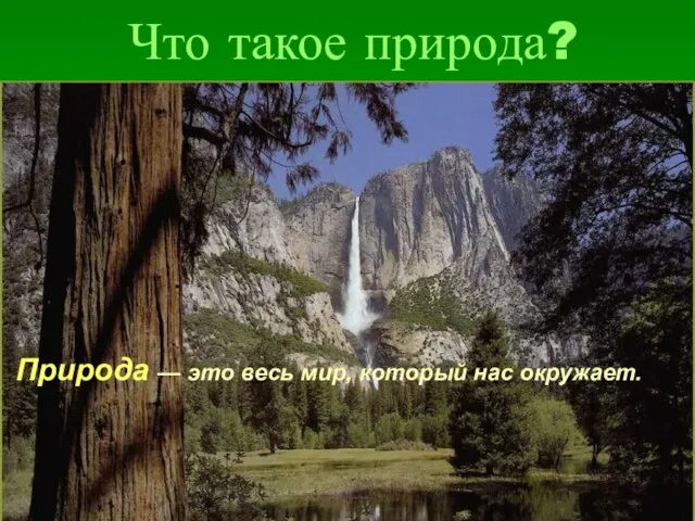 Что такое природа? Природа — это весь мир, который нас окружает.