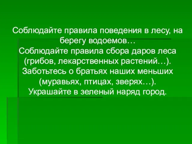 Соблюдайте правила поведения в лесу, на берегу водоемов… Соблюдайте правила сбора даров