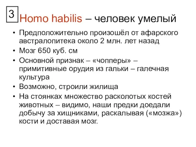 Homo habilis – человек умелый Предположительно произошёл от афарского австралопитека около 2