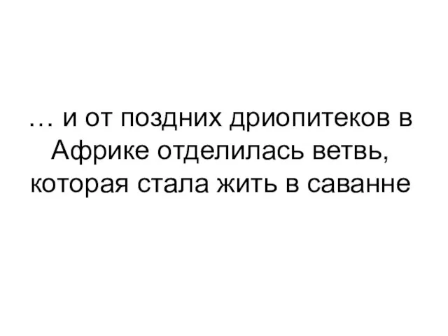 … и от поздних дриопитеков в Африке отделилась ветвь, которая стала жить в саванне