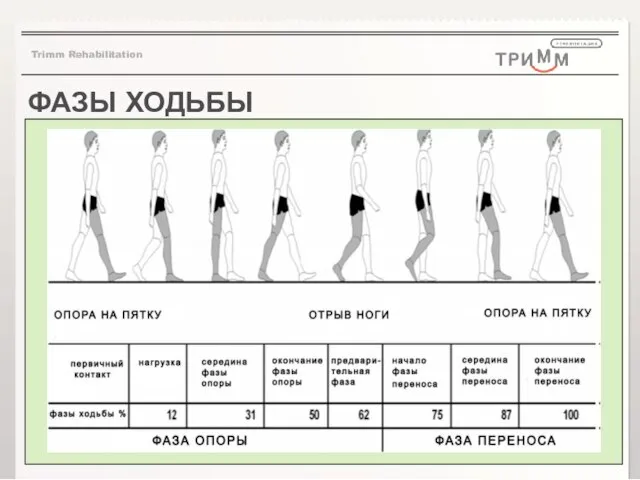 ФАЗЫ ХОДЬБЫ Trimm Rehabilitation